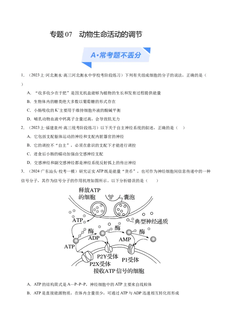 《专题07动物生命活动的调节（分层练）（原卷版）_初高中资料库_高中资料库（转存避免链接过期失效）_高中生物》第1页预览