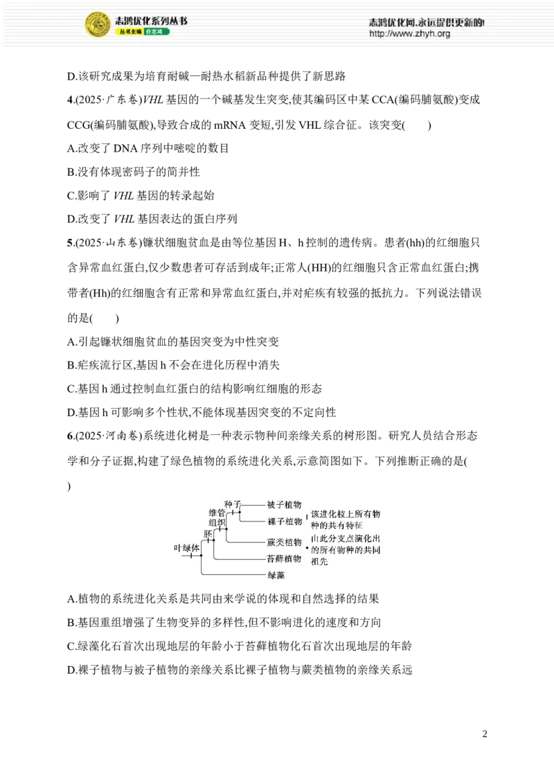 《限时练14　大单元五查缺补漏保分练_2026版高中《二三轮复习+冲刺复习》_高考总复习优化设计二轮用书生物课后习题Word_课后习题_大单元5　遗传的分子基础、变异与进化》第2页预览
