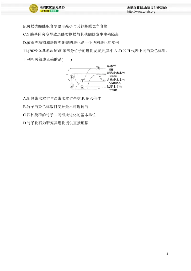 《限时练14　大单元五查缺补漏保分练_2026版高中《二三轮复习+冲刺复习》_高考总复习优化设计二轮用书生物课后习题Word_课后习题_大单元5　遗传的分子基础、变异与进化》第4页预览