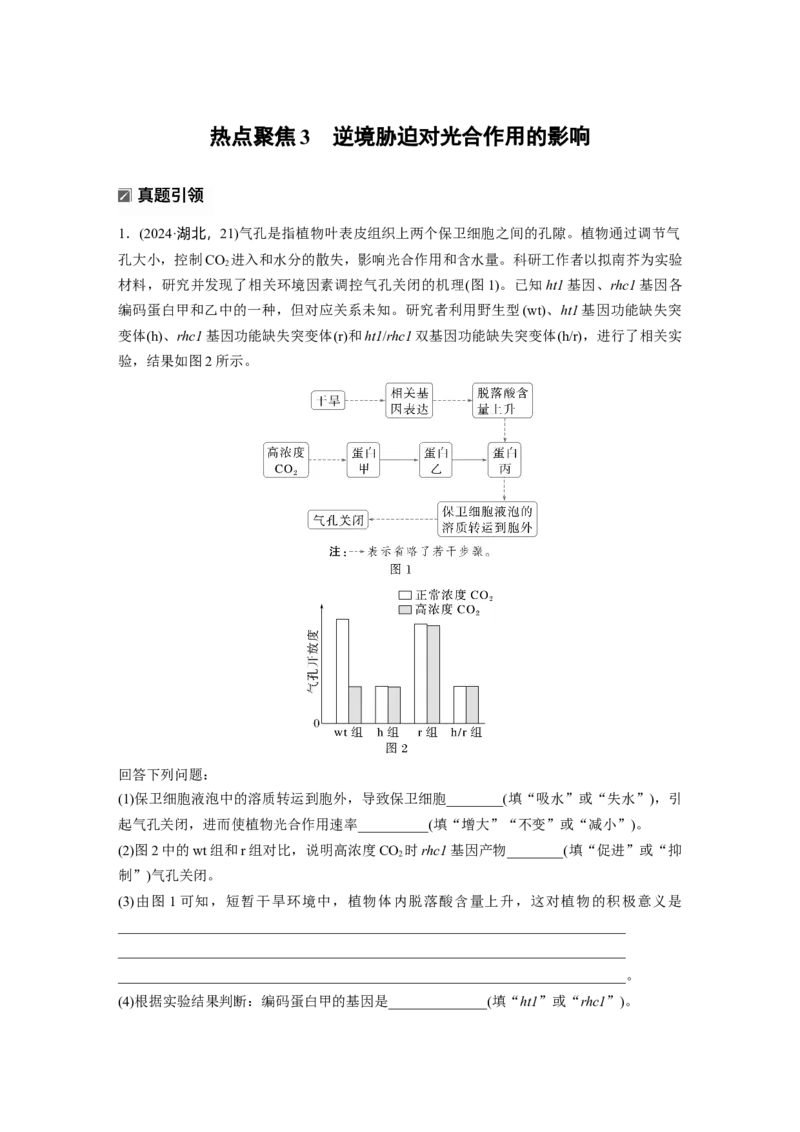 《第一部分　专题二　热点聚焦3　逆境胁迫对光合作用的影响(1)_2026版高中《二三轮复习+冲刺复习》_教师用书Word版文档_第一部分　专题复习》第1页预览