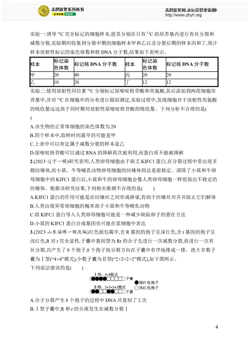 《专题3　细胞的生命历程_初高中资料库_高中资料库（转存避免链接过期失效）_高中生物》第4页预览