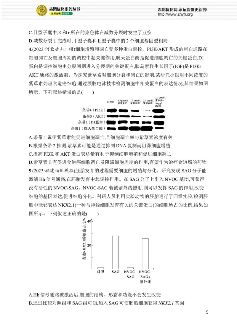 《专题3　细胞的生命历程_初高中资料库_高中资料库（转存避免链接过期失效）_高中生物》第5页预览