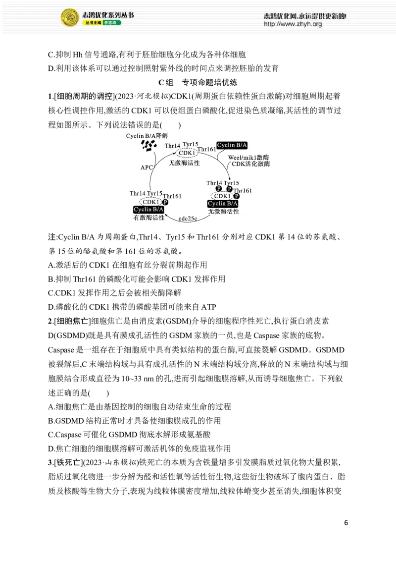 《专题3　细胞的生命历程_初高中资料库_高中资料库（转存避免链接过期失效）_高中生物》第6页预览