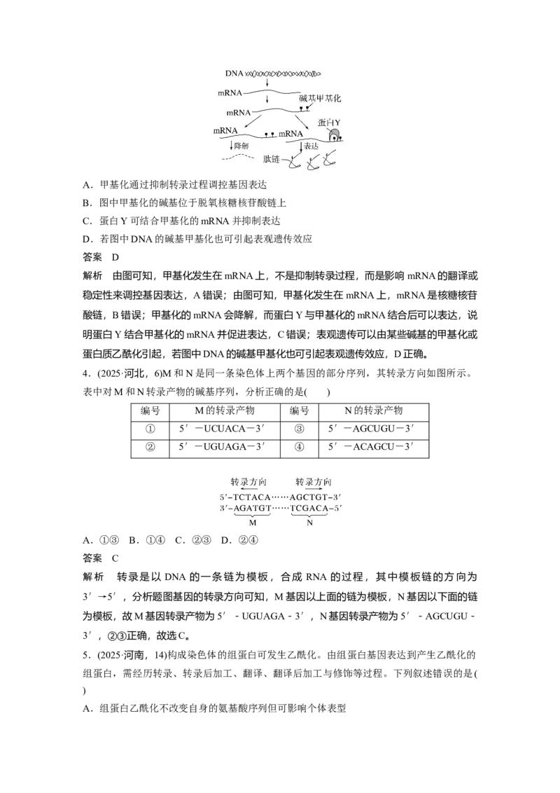 《第一部分　专题五　专题强化练　遗传的分子基础_2026版高中《二三轮复习+冲刺复习》_教师用书Word版文档_第一部分　专题复习》第2页预览
