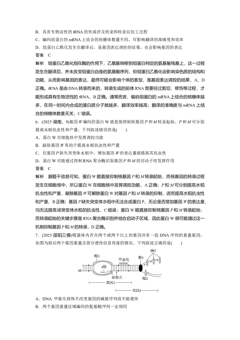《第一部分　专题五　专题强化练　遗传的分子基础_2026版高中《二三轮复习+冲刺复习》_教师用书Word版文档_第一部分　专题复习》第3页预览