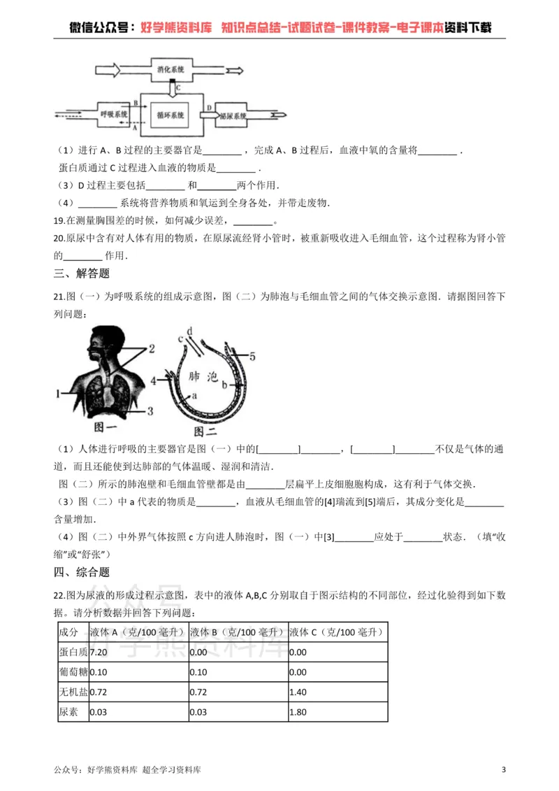《冀教版七年级下册生物第三章健肺强肾精力充沛单元检测_初高中资料库_初中资料库（转存避免链接过期失效）_初中生物》第3页预览