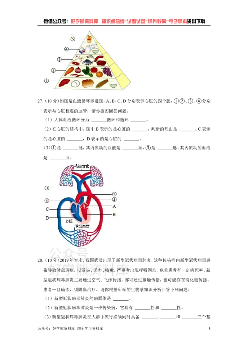 《冀教版七年级下册生物期末试卷(1)_初高中资料库_初中资料库（转存避免链接过期失效）_初中生物》第5页预览