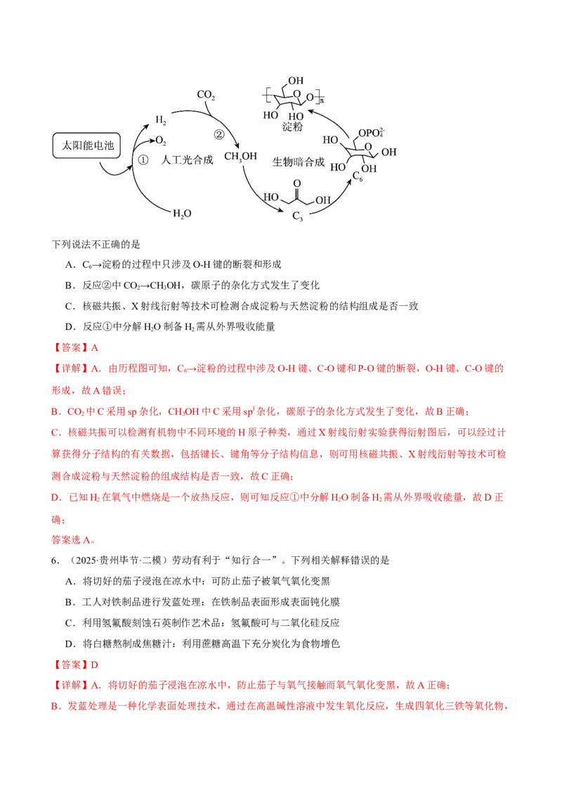 《专题01基本概念（教师版）_高考一二三轮复习_化学_2026年-化学高考专项复习_2025年高考化学二模试题分类汇编（新高考专用）_2025版》第3页预览