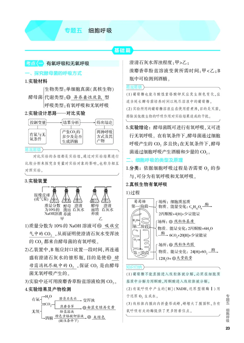 《2_05-专题五　细胞呼吸（教参电子书—知识讲解）_2024版教学资源包_2024版.新高考版生物.5·3A版_5_专题五细胞呼吸_4_PDF教参电子书》第1页预览