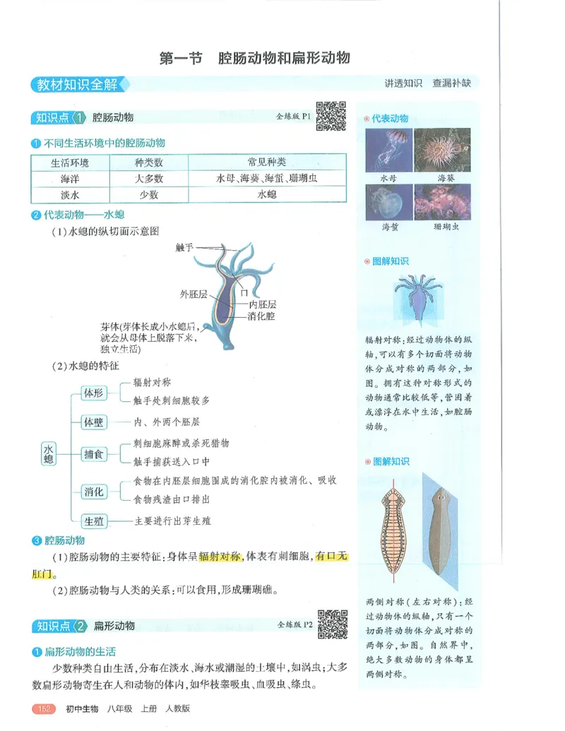 《53-初中同步-8上-生物人教版全解版_初中全科知识点总结和试卷_赠送习题试卷_初中3年学习辅助资料_1、初中学习资料_24秋试卷_2025版《53•初中同步》上册全科》第6页预览