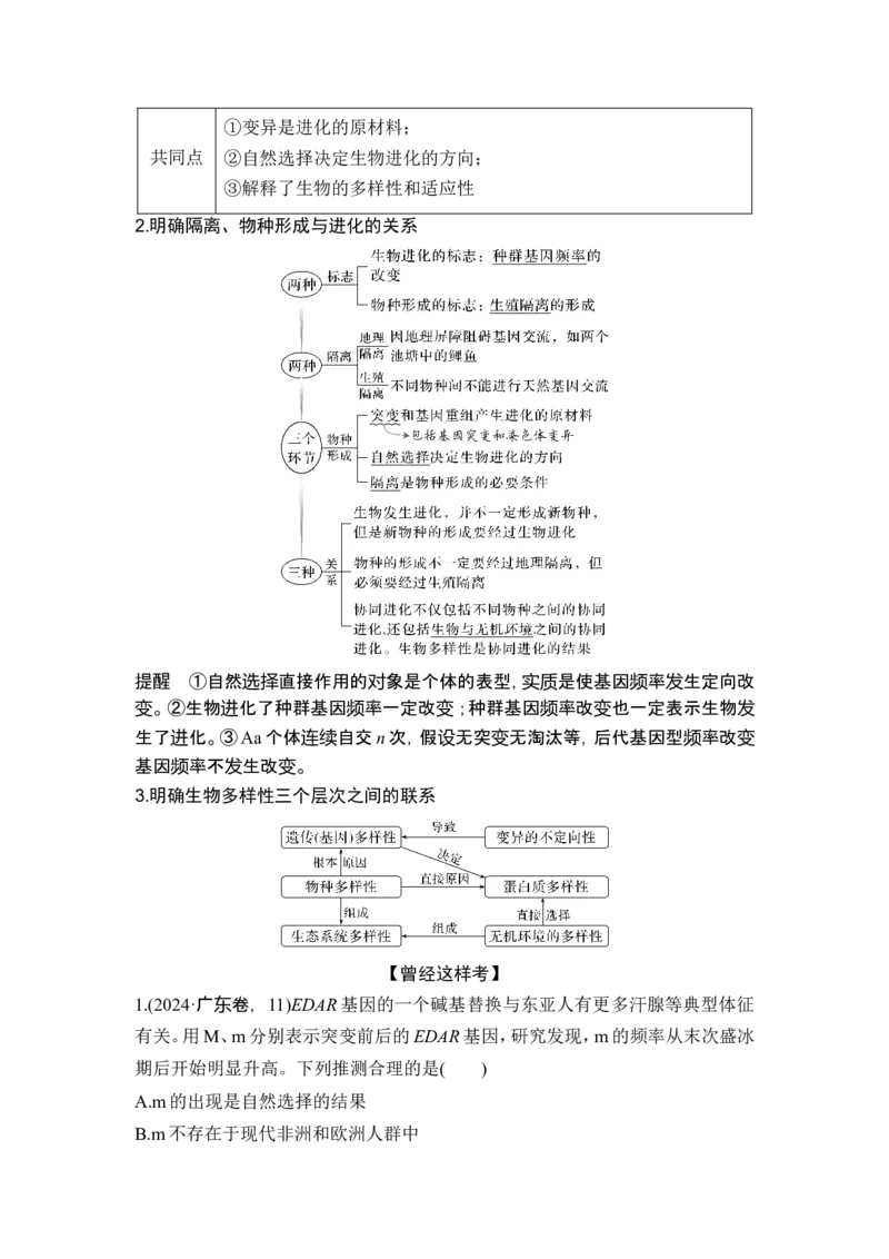 《课时2生物的变异与生物的多样性和适应性是进化的结果_2026版高中《二三轮复习+冲刺复习》_另附1套Word版题库_第一篇　大概念专题突破》第8页预览