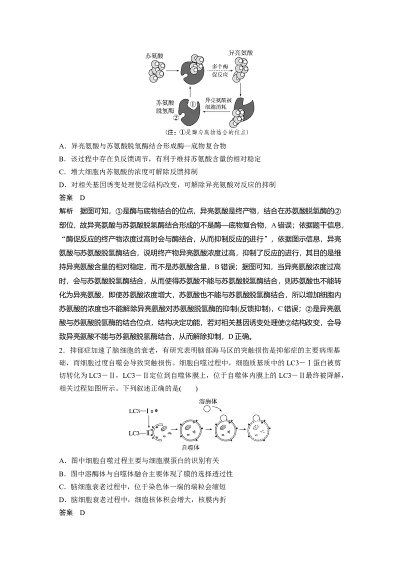 《第一部分　专题六　模块整合　生命的稳态与平衡观(1)_2026版高中《二三轮复习+冲刺复习》_教师用书Word版文档_第一部分　专题复习》第2页预览