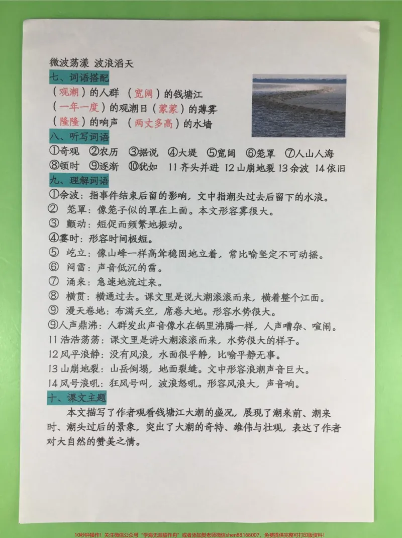 《四年级上册语文第一单元各课知识点汇总。#四年级#四年级上册语文#知识点总结#四年级语文#小学语文_最新小学1-9年级各科+幼升小+综合类学习资源汇总包》第3页预览