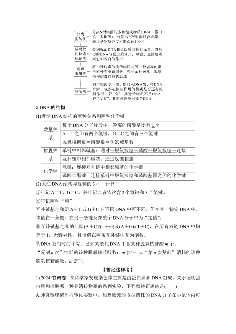 《课时1遗传信息主要编码在DNA分子上(1)_2026版高中《二三轮复习+冲刺复习》_另附1套Word版题库_第一篇　大概念专题突破》第3页预览