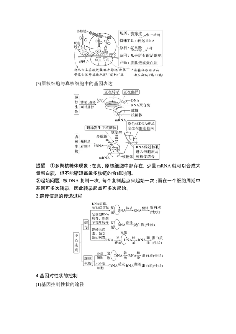 《课时1遗传信息主要编码在DNA分子上(1)_2026版高中《二三轮复习+冲刺复习》_另附1套Word版题库_第一篇　大概念专题突破》第8页预览
