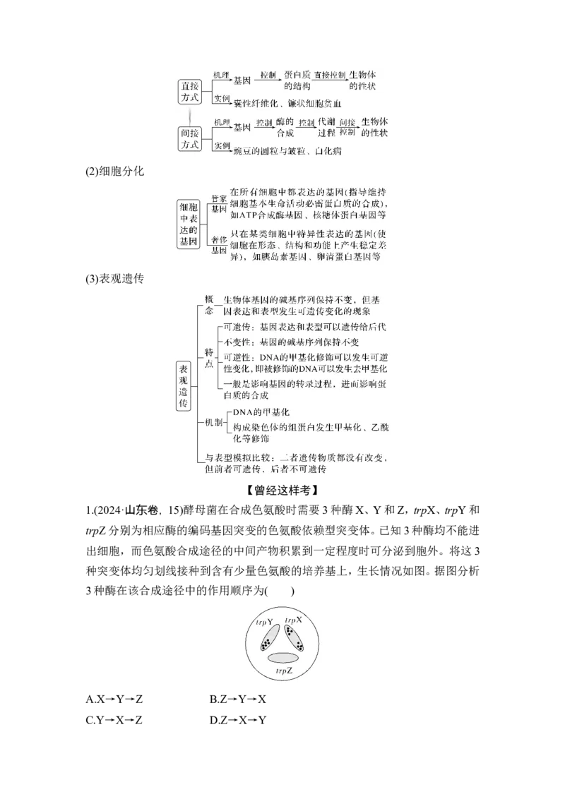 《课时1遗传信息主要编码在DNA分子上(1)_2026版高中《二三轮复习+冲刺复习》_另附1套Word版题库_第一篇　大概念专题突破》第9页预览