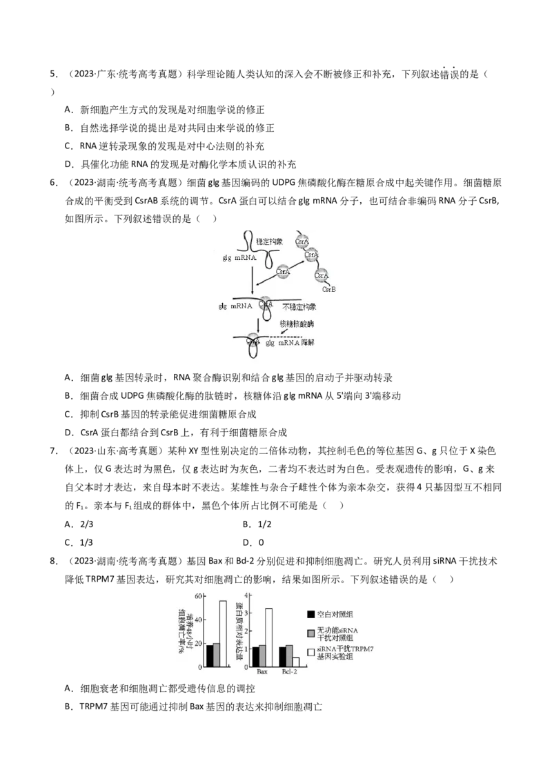 《专题06遗传的分子基础（学生版）_初高中资料库_高中资料库（转存避免链接过期失效）_高中生物》第2页预览