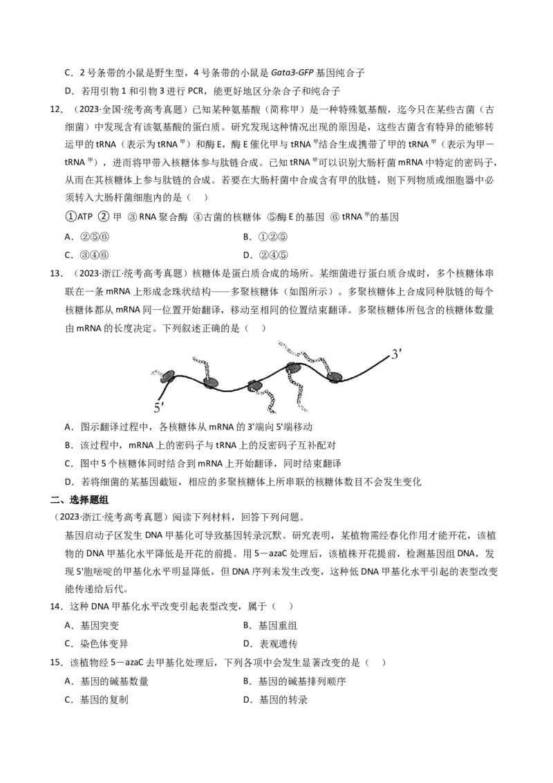 《专题06遗传的分子基础（学生版）_初高中资料库_高中资料库（转存避免链接过期失效）_高中生物》第4页预览