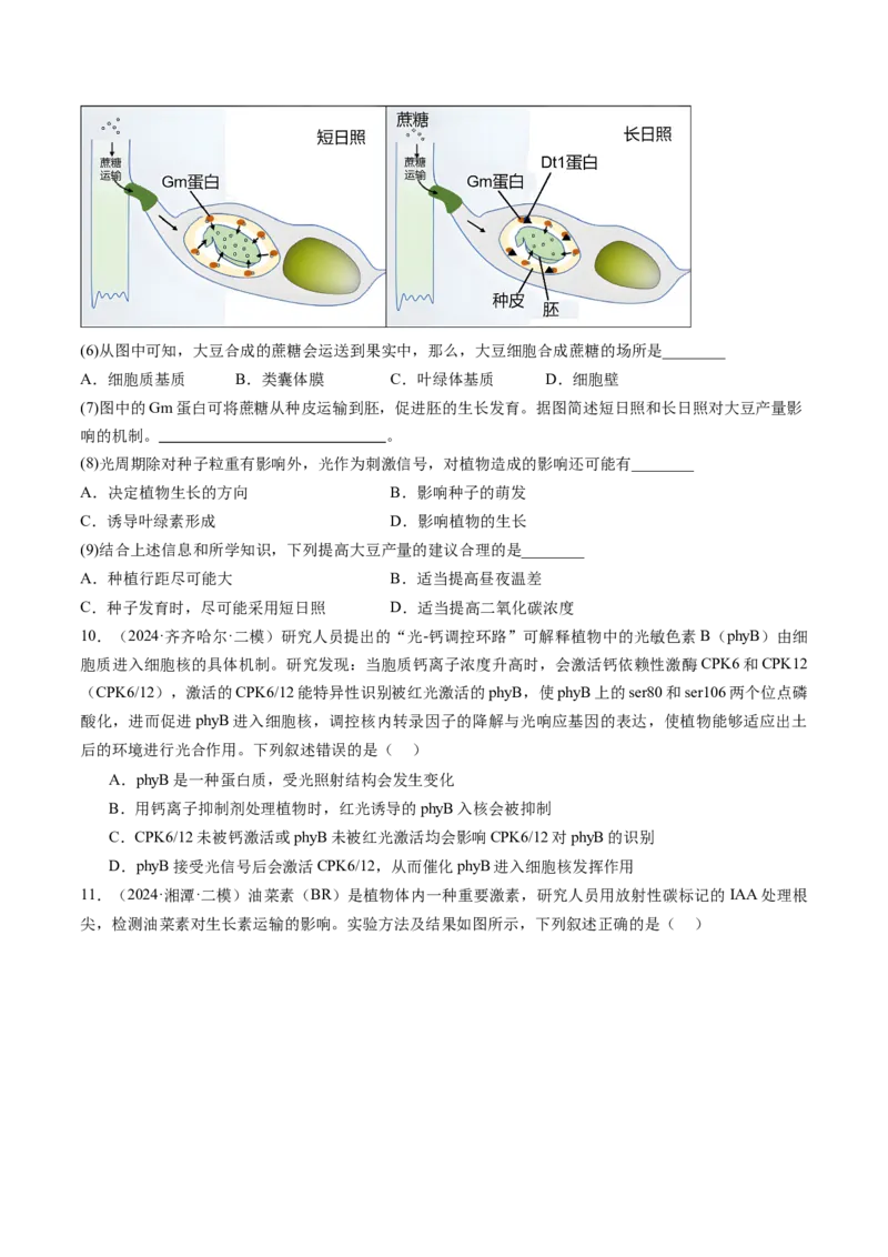 《专题10植物激素调节（学生版）_高考一二三轮复习_生物_2026年-生物高考专项复习_2025年高考生物二模试题分类汇编（新高考专用）_2024版》第5页预览