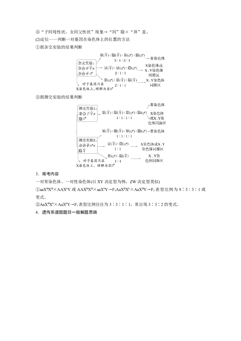 《第一部分　专题四　必备整合2　伴性遗传和人类遗传病(1)_2026版高中《二三轮复习+冲刺复习》_教师用书Word版文档_第一部分　专题复习》第2页预览