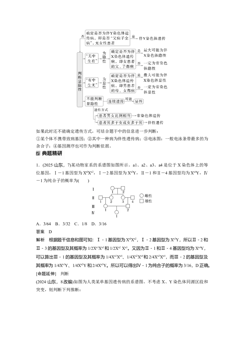 《第一部分　专题四　必备整合2　伴性遗传和人类遗传病(1)_2026版高中《二三轮复习+冲刺复习》_教师用书Word版文档_第一部分　专题复习》第3页预览