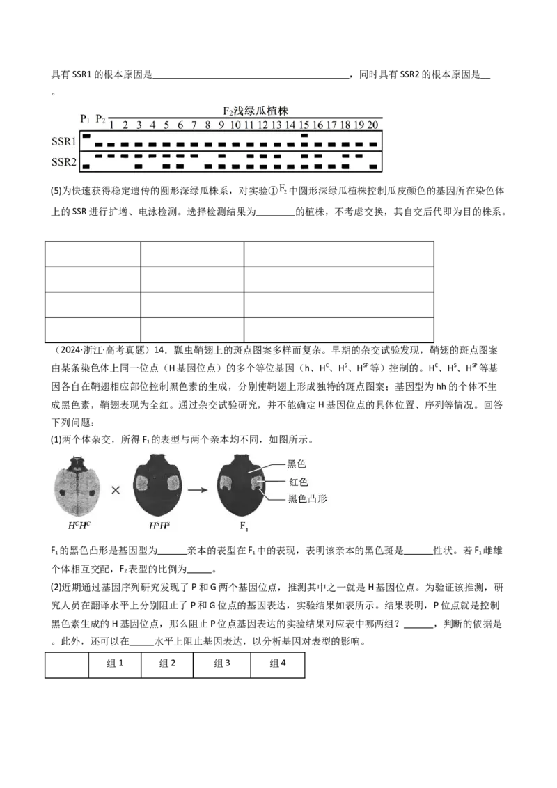 《专题09基因的分离定律（学生版）_高考一二三轮复习_生物_2026年-生物高考专项复习_十年（2016-2025）高考生物真题分类汇编（全国通用）-G15》第6页预览