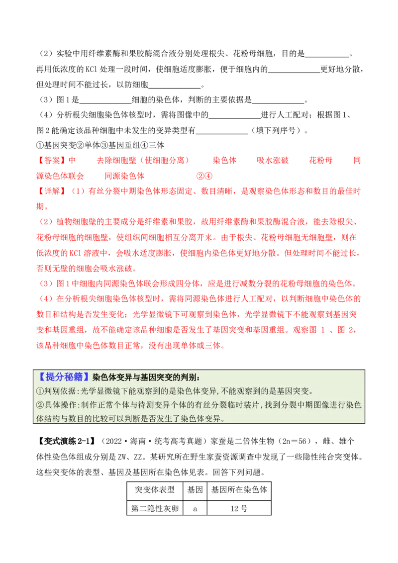 《专题07遗传变异（解析版）_初高中资料库_高中资料库（转存避免链接过期失效）_高中生物》第7页预览