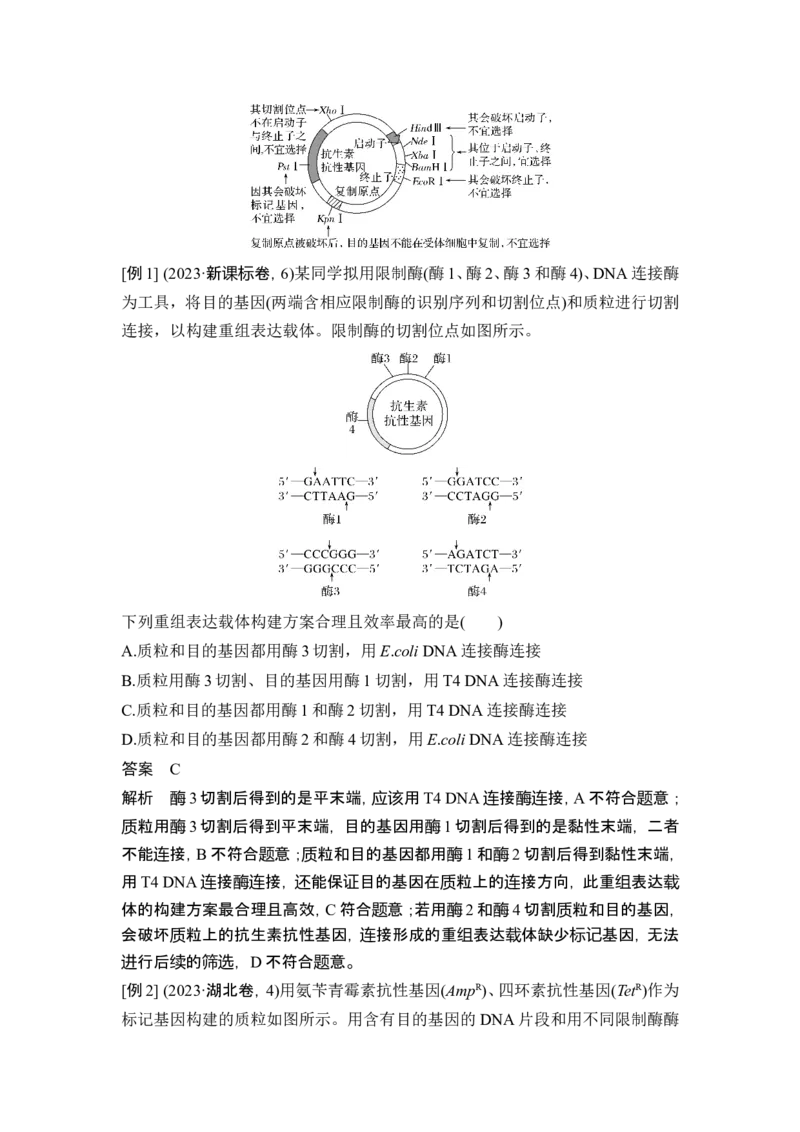 《课时4突破基因工程类大题_2026版高中《二三轮复习+冲刺复习》_高考生物生物二轮2026届高考生物步步高大二轮专题复习教师用书(word版)+教师用书配套PPT+题库(word版)(完整版)》第2页预览