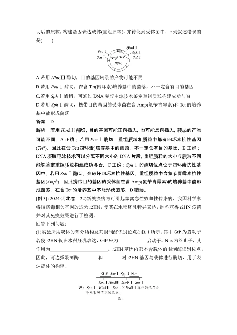 《课时4突破基因工程类大题_2026版高中《二三轮复习+冲刺复习》_高考生物生物二轮2026届高考生物步步高大二轮专题复习教师用书(word版)+教师用书配套PPT+题库(word版)(完整版)》第3页预览