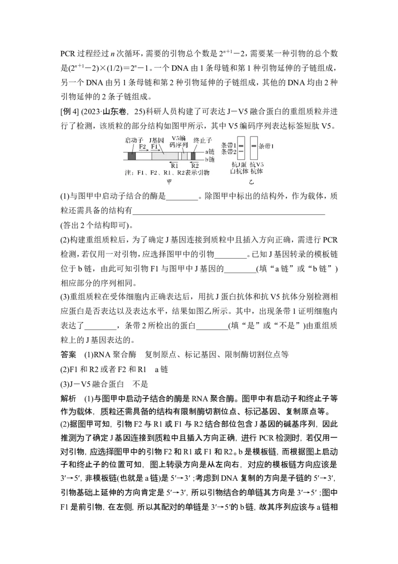 《课时4突破基因工程类大题_2026版高中《二三轮复习+冲刺复习》_高考生物生物二轮2026届高考生物步步高大二轮专题复习教师用书(word版)+教师用书配套PPT+题库(word版)(完整版)》第6页预览