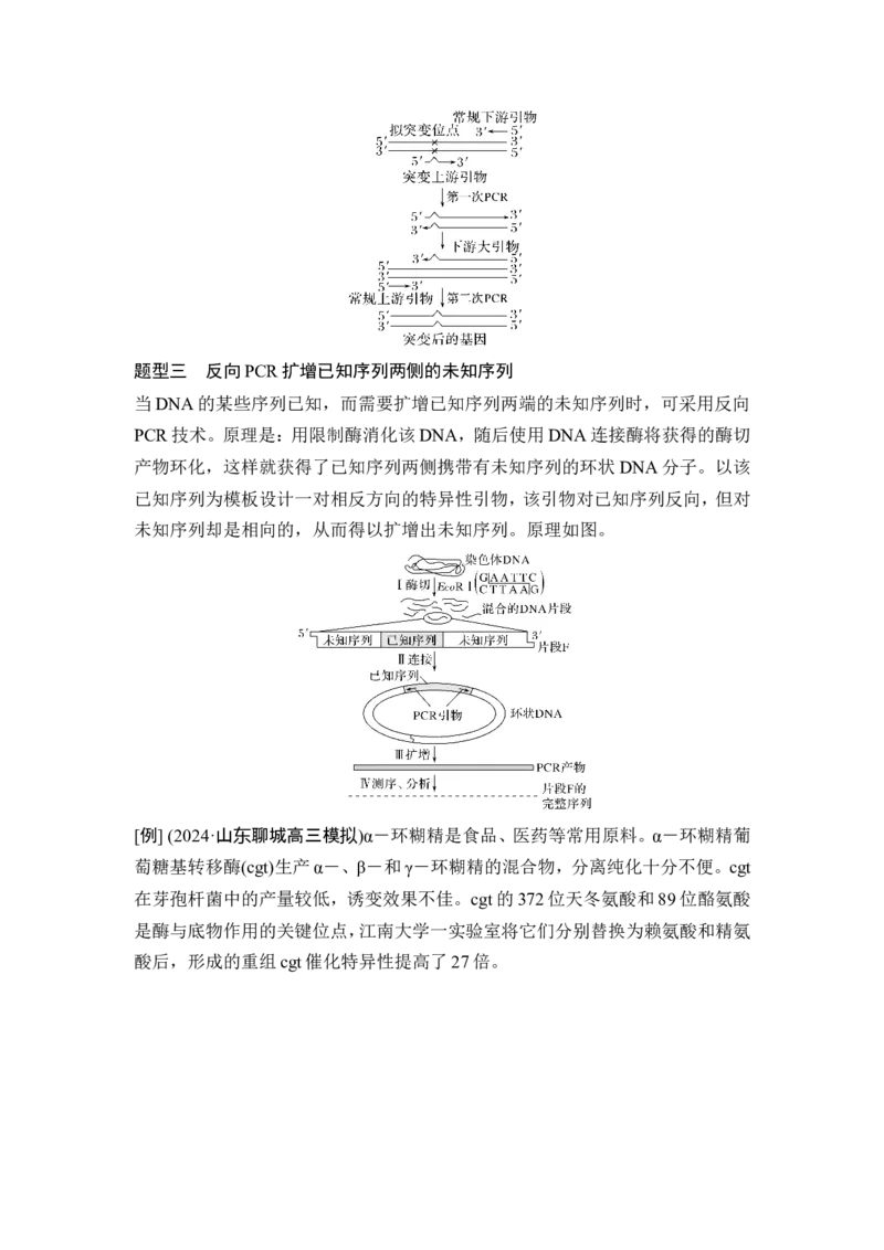 《课时4突破基因工程类大题_2026版高中《二三轮复习+冲刺复习》_高考生物生物二轮2026届高考生物步步高大二轮专题复习教师用书(word版)+教师用书配套PPT+题库(word版)(完整版)》第8页预览