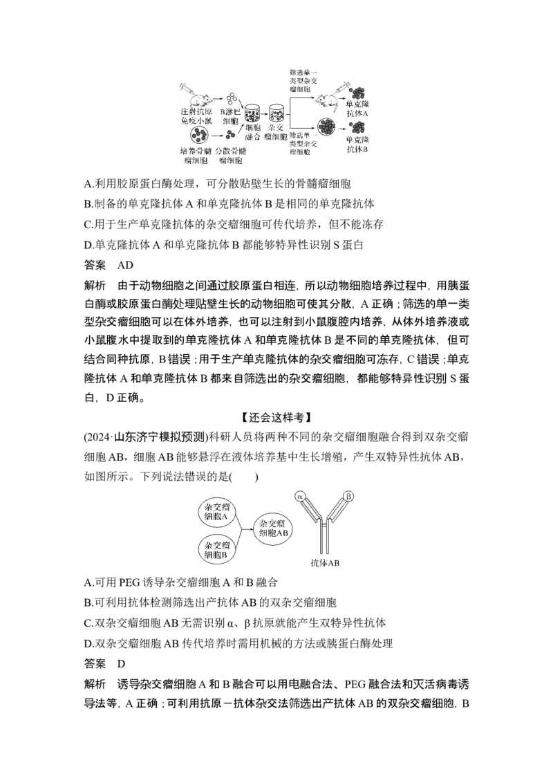 《课时3单抗与双抗、基因编辑技术及其应用(1)_2026版高中《二三轮复习+冲刺复习》_另附1套Word版题库_第一篇 大概念专题突破_大概念八利用生物技术与工程生产对人类有用的产品》第3页预览