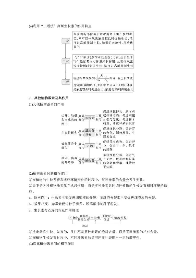 《第一部分　专题六　必备整合4　植物生命活动的调节(1)_2026版高中《二三轮复习+冲刺复习》_教师用书Word版文档_第一部分　专题复习》第2页预览