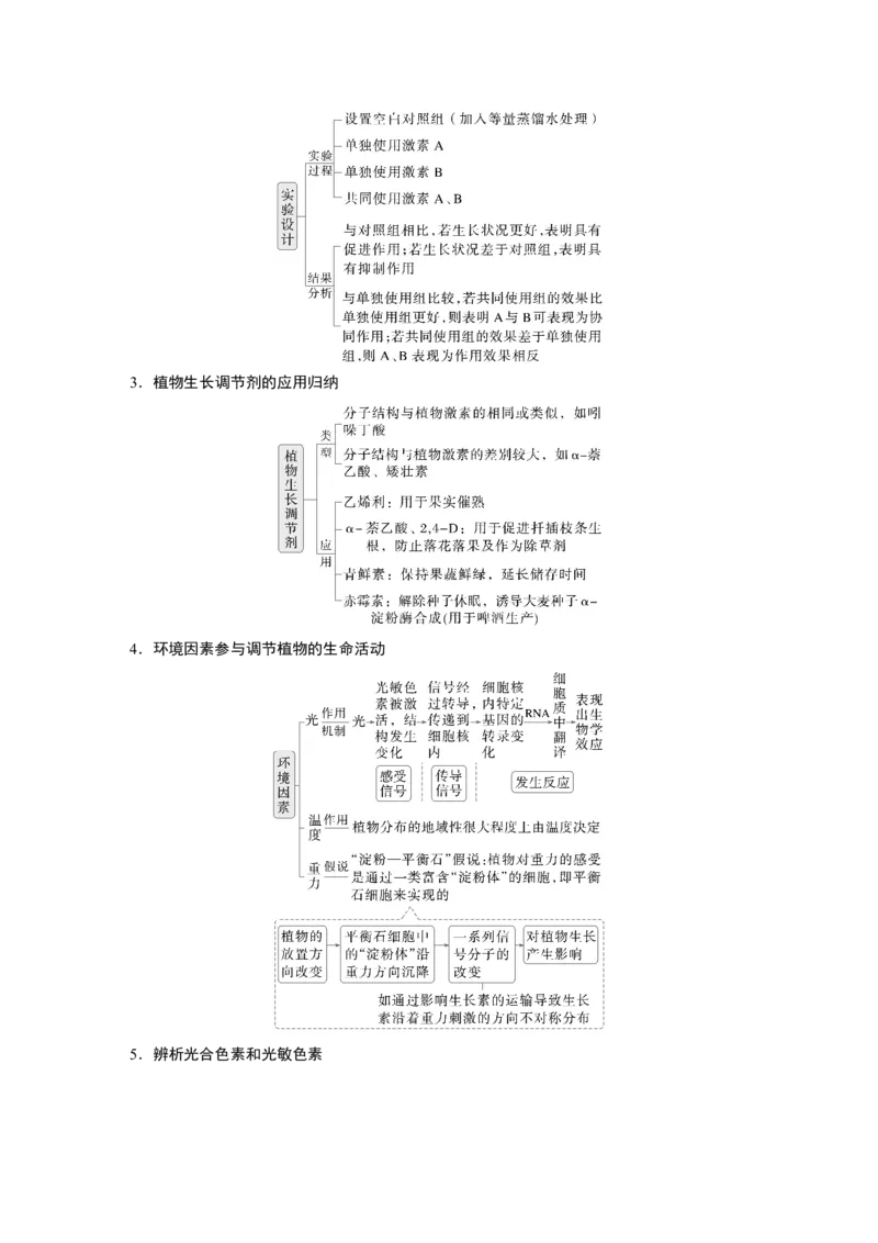 《第一部分　专题六　必备整合4　植物生命活动的调节(1)_2026版高中《二三轮复习+冲刺复习》_教师用书Word版文档_第一部分　专题复习》第3页预览
