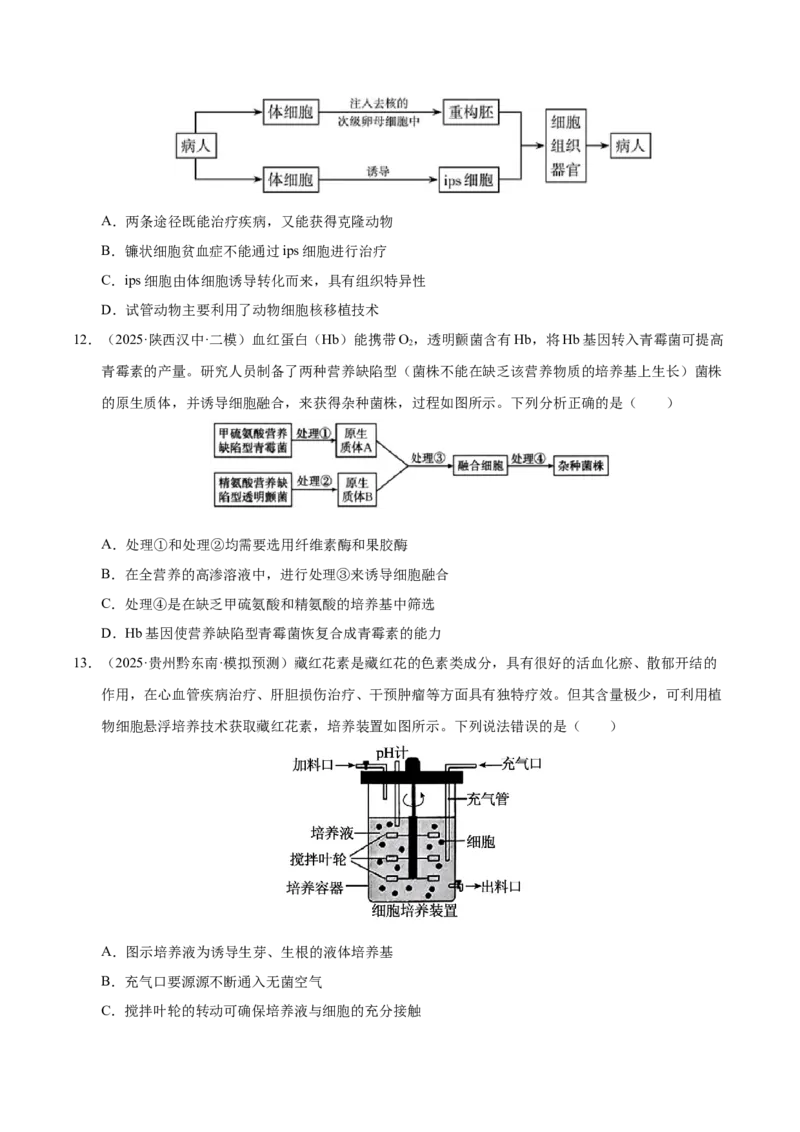 《专题09细胞工程与胚胎工程（陕西、山西、青海、宁夏专用）（学生版）_高考一二三轮复习_生物_2026年-生物高考专项复习》第5页预览