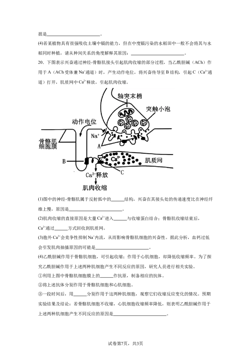 《11_2025届湖北省腾云联盟高三10月联考（一模）生物试题_2026版教学资源包_202653高考总复习A版_新高考_生物_教师A版2026年.新高考版.生物.53_优质模拟题精选（Word）_1_资源拓展》第7页预览