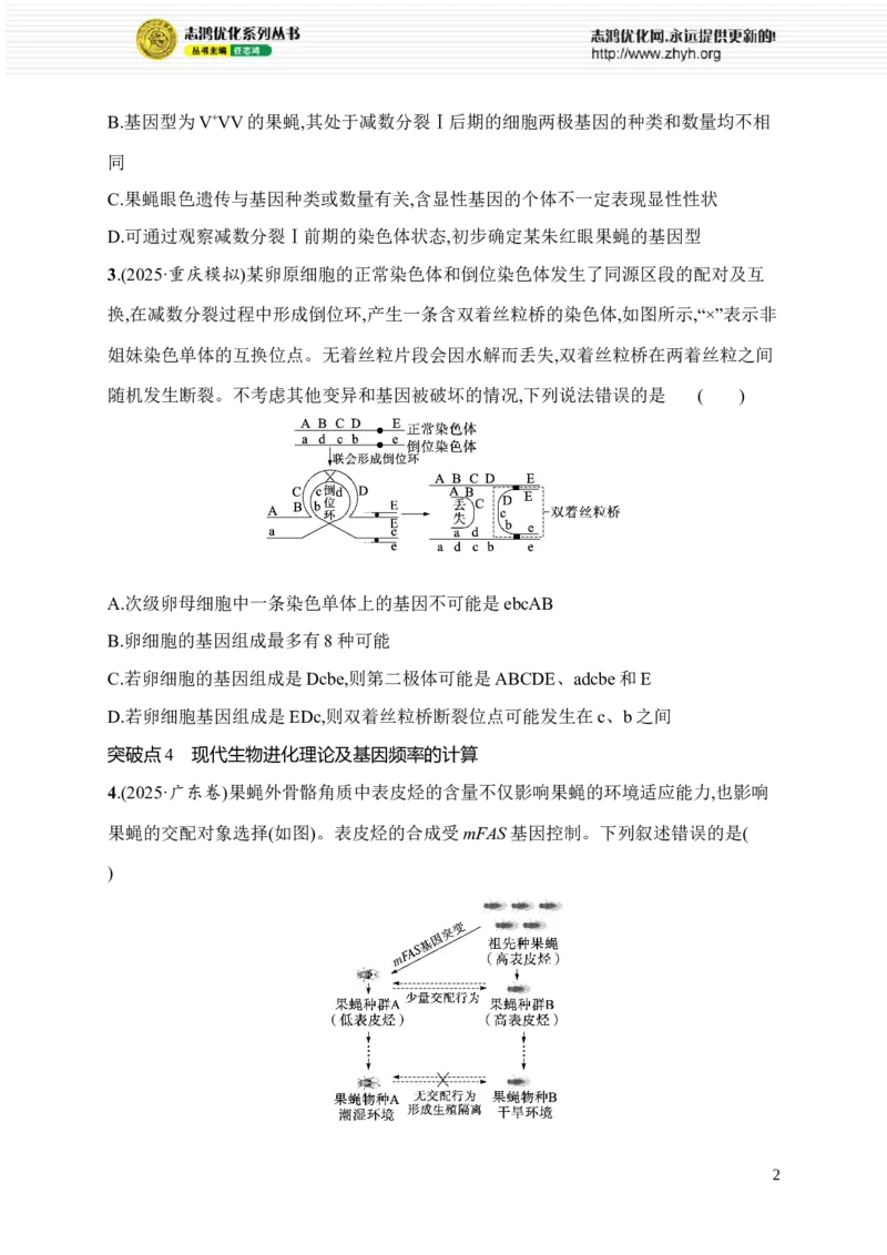 《限时练16　变异类型的判断及相关实验、现代生物进化理论及基因频率的计算_2026版高中《二三轮复习+冲刺复习》_高考总复习优化设计二轮用书生物课后习题Word_课后习题》第2页预览
