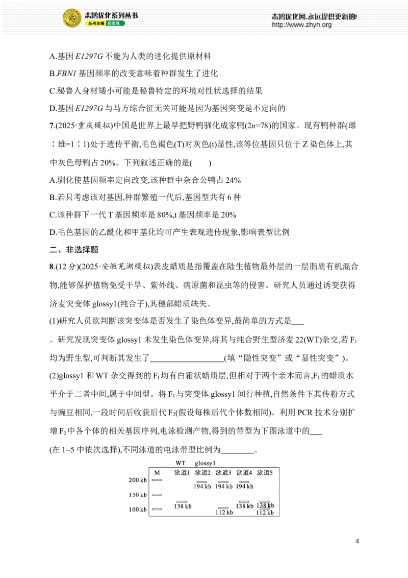 《限时练16　变异类型的判断及相关实验、现代生物进化理论及基因频率的计算_2026版高中《二三轮复习+冲刺复习》_高考总复习优化设计二轮用书生物课后习题Word_课后习题》第4页预览