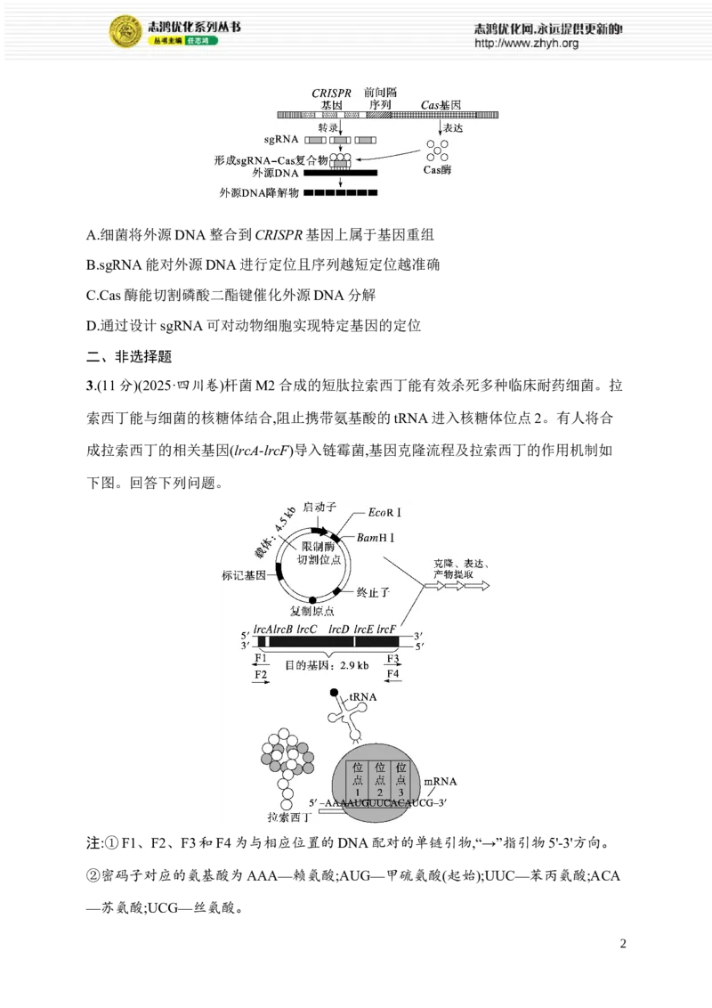 《限时练26　基因表达载体的构建及基因工程的技术应用_2026版高中《二三轮复习+冲刺复习》_高考总复习优化设计二轮用书生物课后习题Word_课后习题_大单元8　生物技术与工程》第2页预览