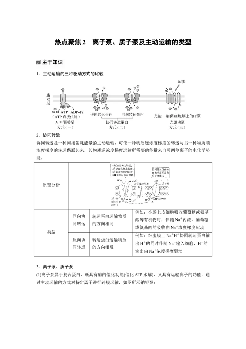 《第一部分　专题一　热点聚焦2　离子泵、质子泵及主动运输的类型(1)_2026版高中《二三轮复习+冲刺复习》_教师用书Word版文档_第一部分　专题复习》第1页预览