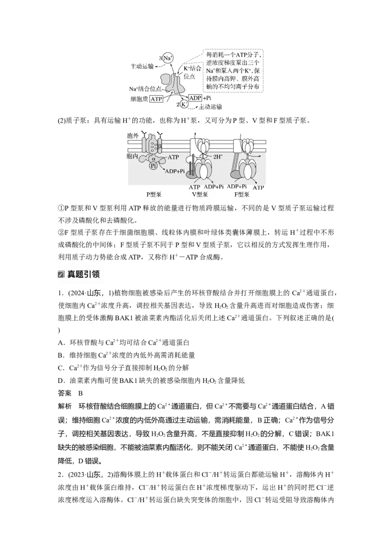《第一部分　专题一　热点聚焦2　离子泵、质子泵及主动运输的类型(1)_2026版高中《二三轮复习+冲刺复习》_教师用书Word版文档_第一部分　专题复习》第2页预览