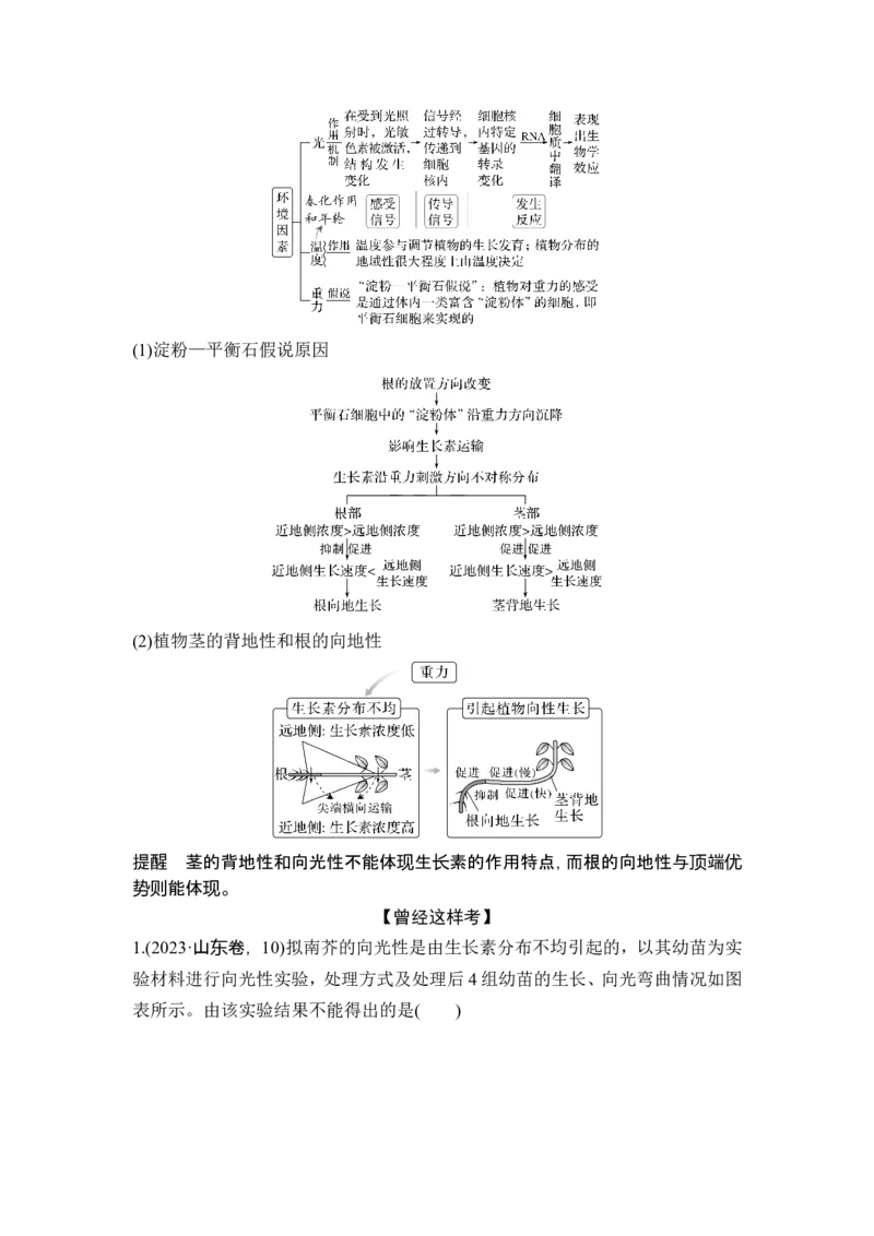 《课时3植物生命活动受到激素等多种因素的调节(1)_2026版高中《二三轮复习+冲刺复习》_另附1套Word版题库_第一篇　大概念专题突破_大概念六生物个体通过一定的调节机制保持稳态》第3页预览