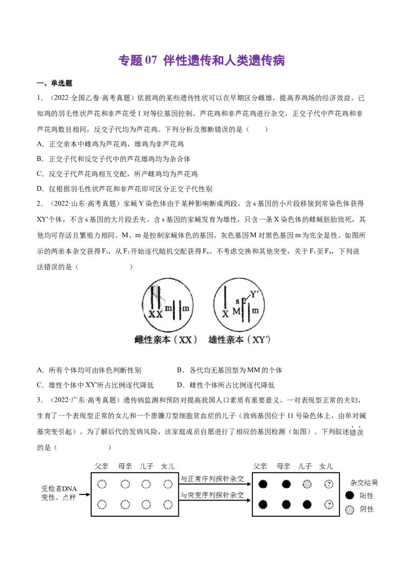 《专题07伴性遗传和人类遗传病-十年（2013-2022）高考生物真题分项汇编（全国通用）（学生版）_初高中资料库_高中资料库（转存避免链接过期失效）_高中生物》第1页预览