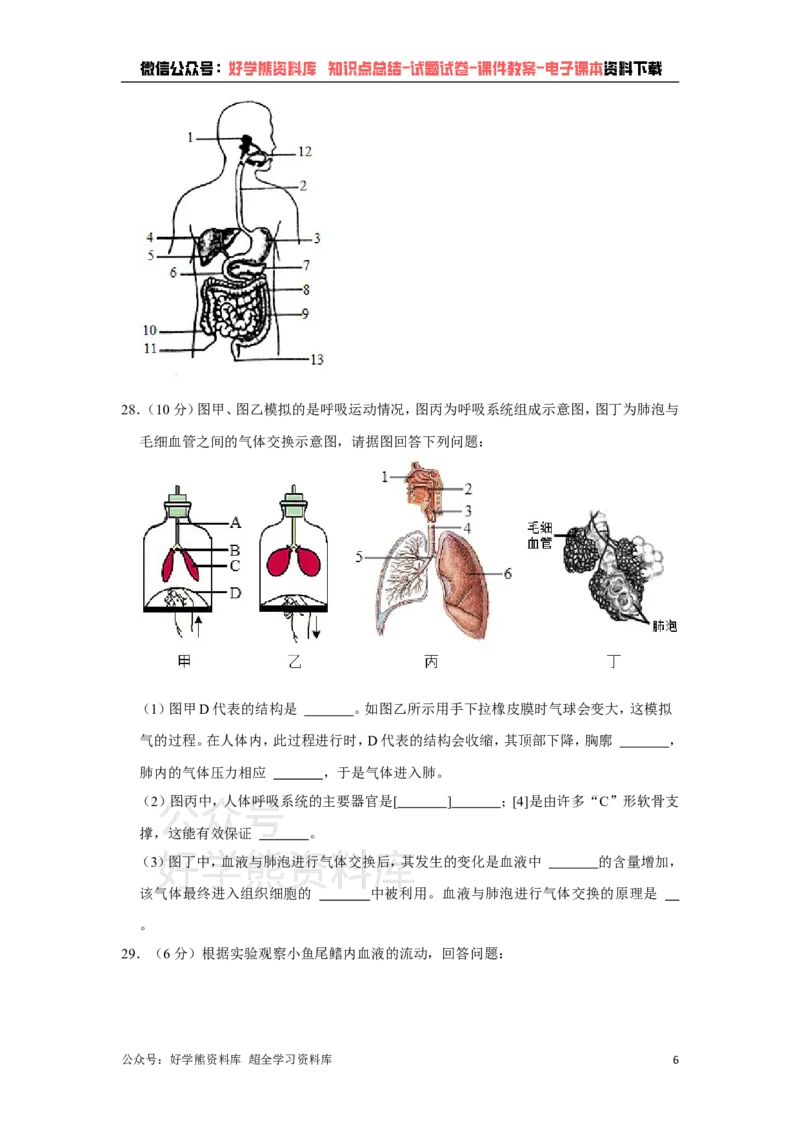 《冀教版七年级下册生物期中试卷1_初高中资料库_初中资料库（转存避免链接过期失效）_初中生物》第6页预览