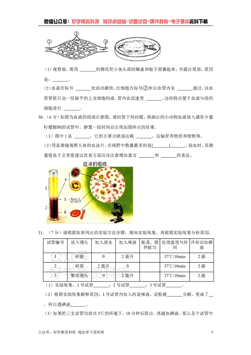 《冀教版七年级下册生物期中试卷1_初高中资料库_初中资料库（转存避免链接过期失效）_初中生物》第7页预览