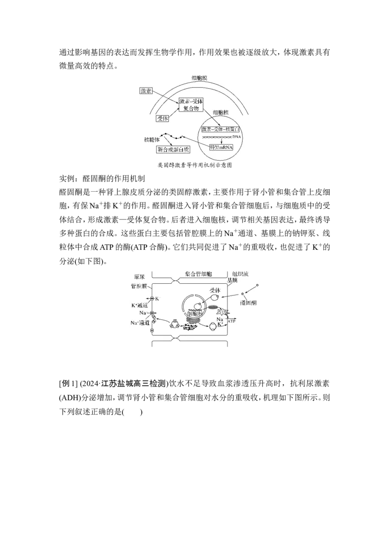 《课时特殊突触传递、不同类型激素的作用机理与细胞因子风暴(教师独具)_2026版高中《二三轮复习+冲刺复习》_另附1套Word版题库_第一篇 大概念专题突破》第4页预览