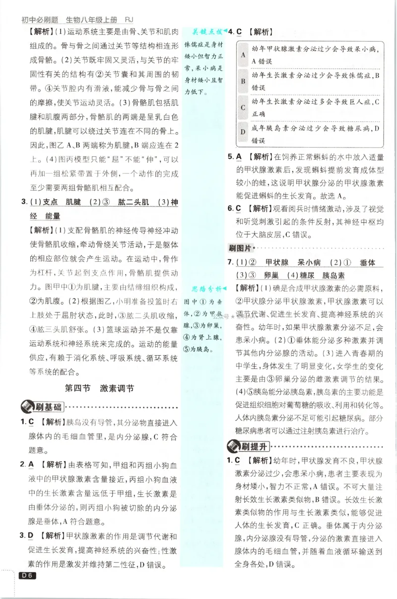 《2027《初中生物•必刷题》8上(RJ)答案_初中必刷题2026_8年级_人教版_2027《初中生物•必刷题》8上（人教）》第7页预览