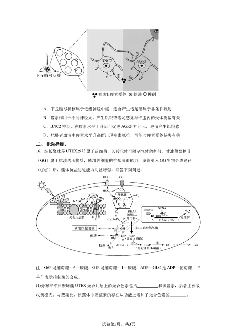 《14_2025届福建省一级达标及较优校高三12月联合测评模拟预测生物试题_2026版教学资源包_202653高考总复习A版_新高考_生物_教师A版2026年.新高考版.生物.53_优质模拟题精选（Word）》第5页预览