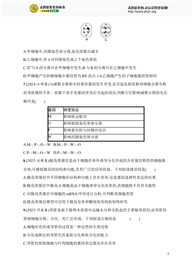 《限时练8　大单元三查缺补漏保分练_2026版高中《二三轮复习+冲刺复习》_高考总复习优化设计二轮用书生物课后习题Word_课后习题_大单元3　细胞的增殖、分化、衰老和死亡等生命历程》第3页预览