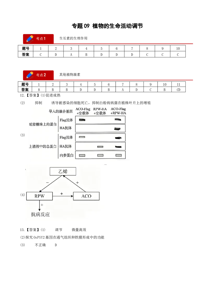 《专题09植物的生命活动调节（答案版）(1)_高考一二三轮复习_生物_2027年高考生物专项_2026年高考生物一模试题分类汇编（新高考通用）-G178_2026版》第1页预览